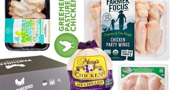 Top Cafo Chicken Brands List PDF – Complete Guide & Comparison