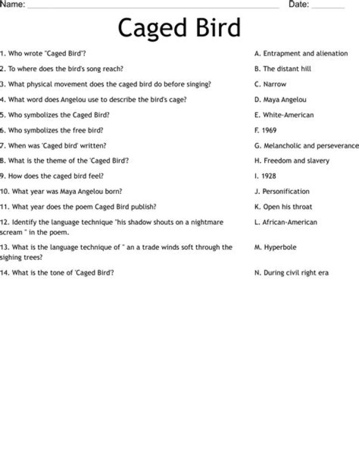 Caged Bird Questions and Answers: Expert PDF Guide
