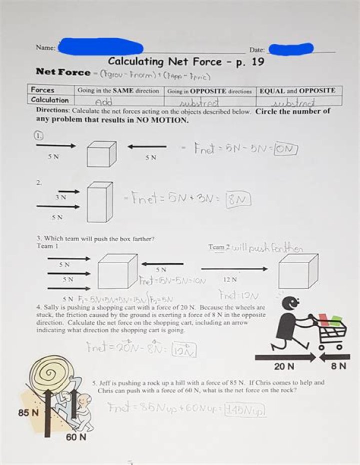Calculating Net Force Answer Key for Physics Problem 19 PDF