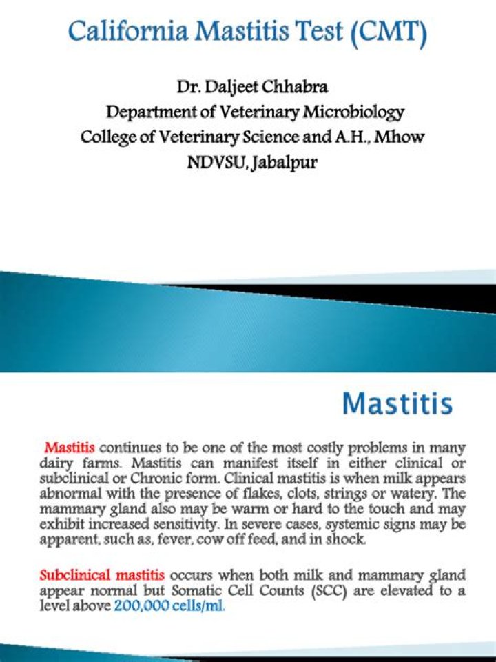 California Mastitis Test PDF: Quick & Reliable Diagnosis Guide