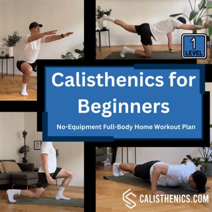 Beginner’s Calisthenics Workout Plan for Home – PDF Workout Guide