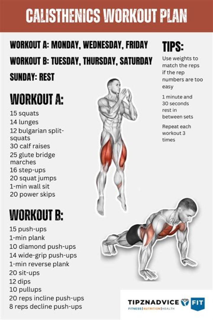 Beginner Calisthenics Workout Plan PDF – Easy Home Workouts