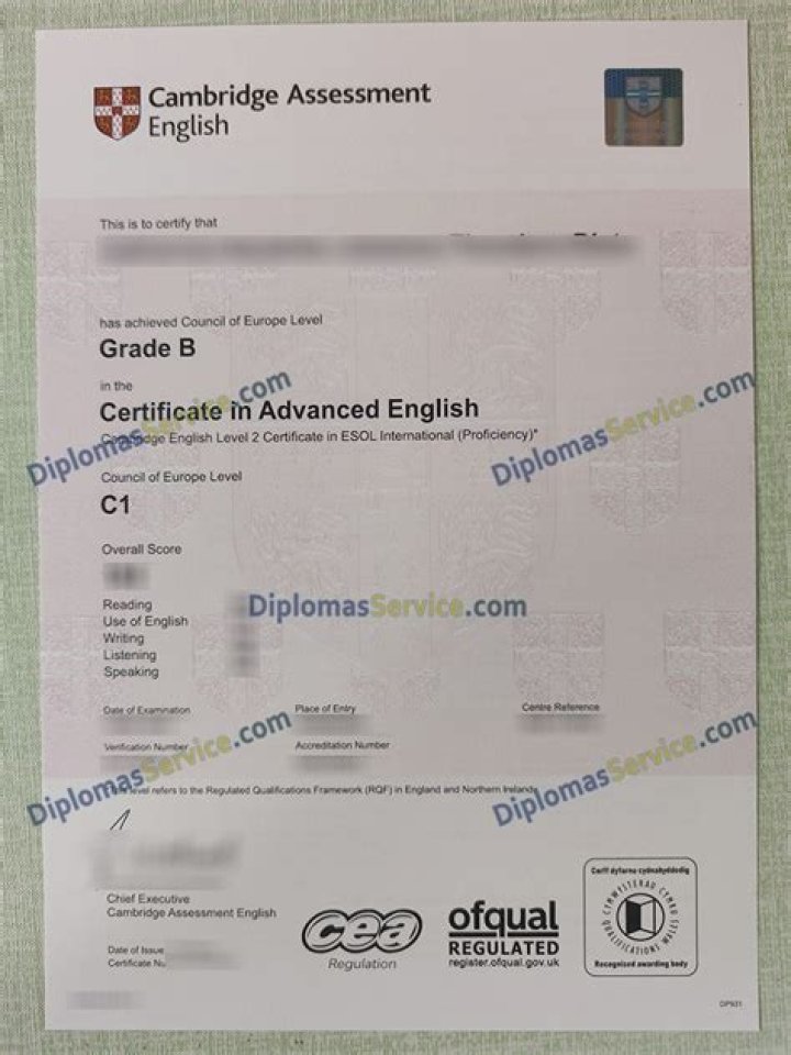 Cambridge English Test C1 PDF: Full Practice & Sample Papers