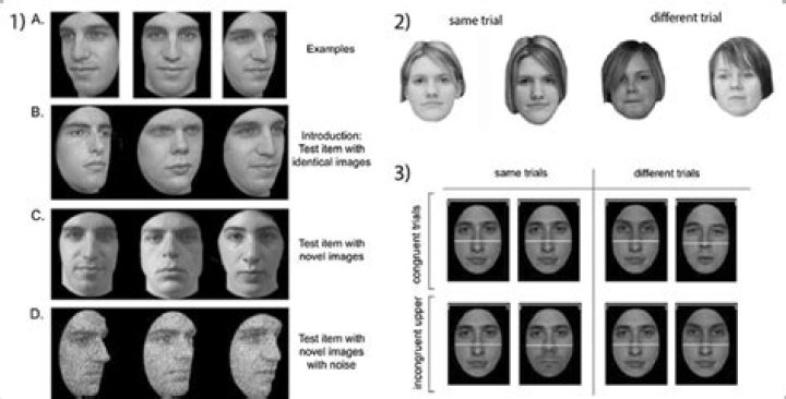 Cambridge Face Memory Test PDF: Improve Recognition & Recall