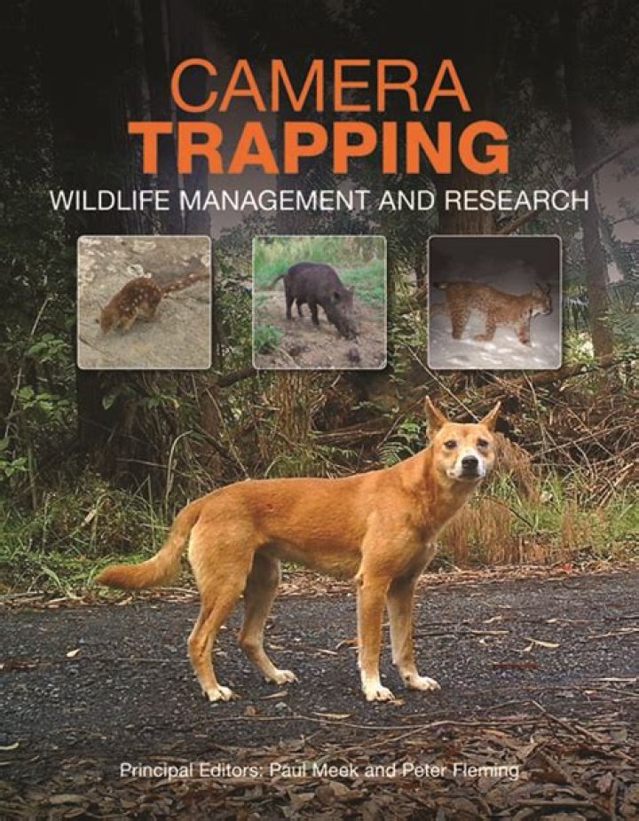 Camera Trapping Wildlife Management and Research: A Comprehensive PDF Guide