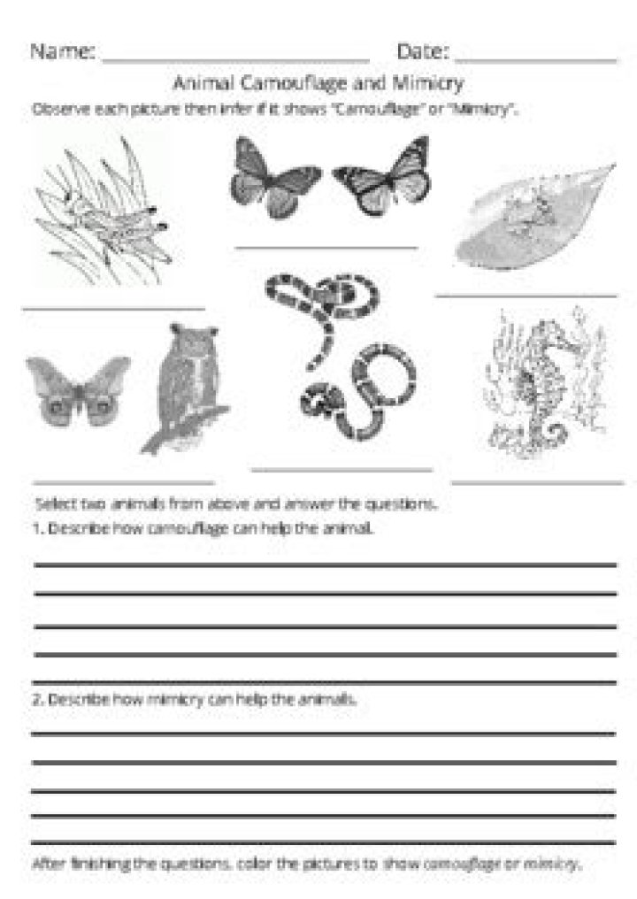 Free Camouflage and Mimicry Worksheets PDF – Learn Nature’s Master Techniques