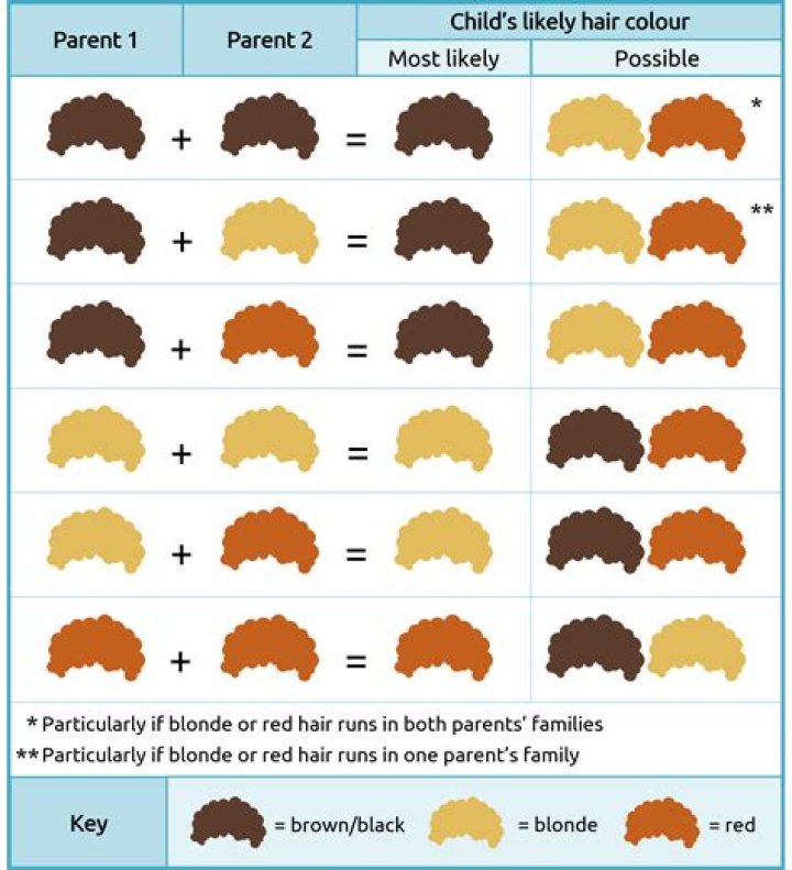 Can a brunette have a brown hair baby?
