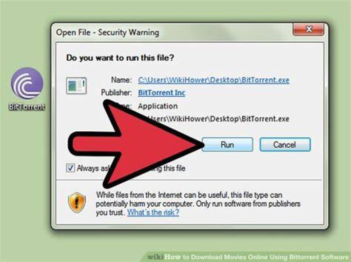 Can BitTorrent download movies?