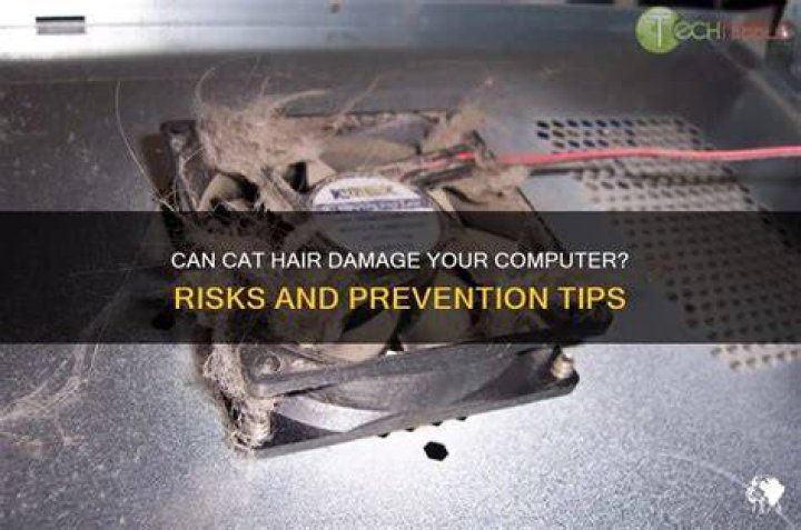 Can hair damage your computer?