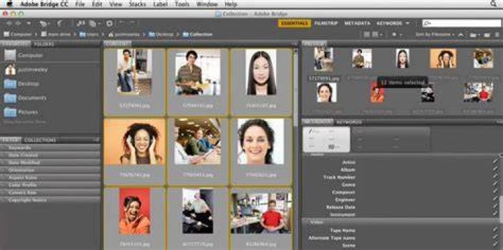 Can I download Adobe Bridge for free?