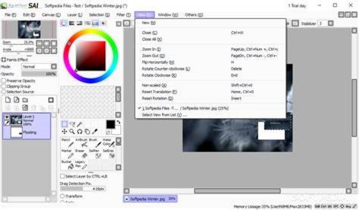Can you download PaintTool SAI for free?