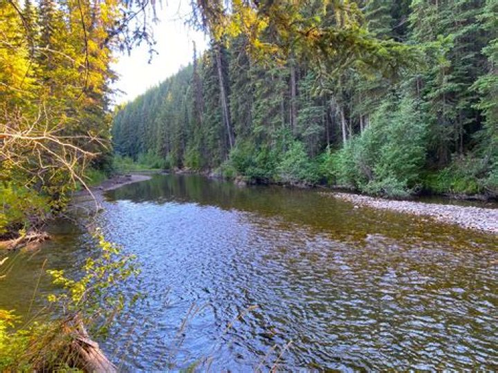 Canada Environmental Management Plan PDF: Official Guide and Download
