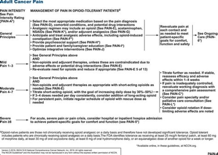 2021 Cancer Pain Management Guidelines PDF: Comprehensive Clinical Guidelines