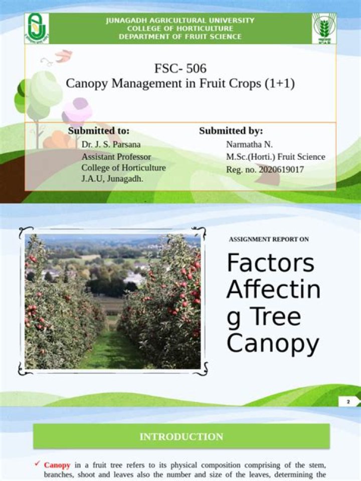 Canopy Management in Fruit Crops: Expert PDF Guide