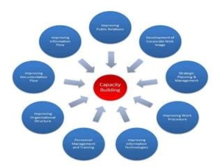 Capacity Building in Disaster Management: Key Strategies PDF