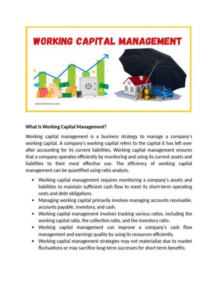 Capital Management Services PDF: Expert Guidance & Strategies