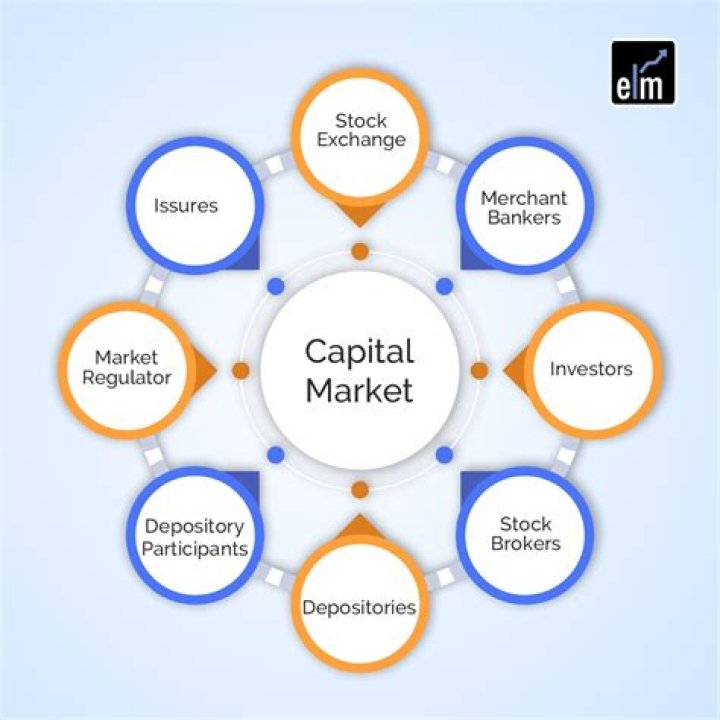Capital Market and Investment Management: Expert PDF Guide