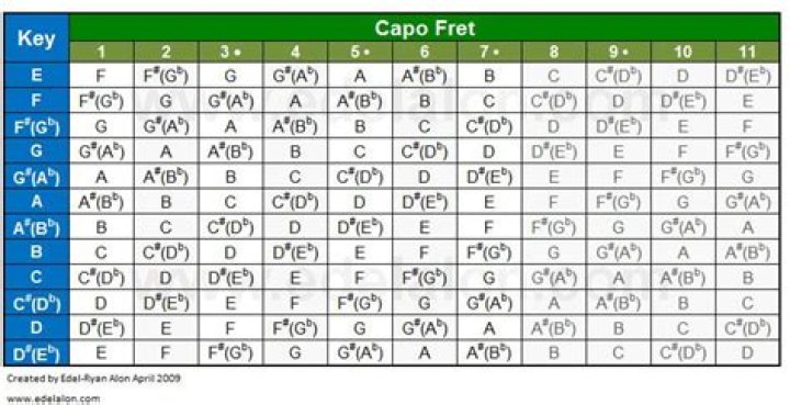 Capo Cheat Sheet PDF: Master Music Transcription & Instrument Guide
