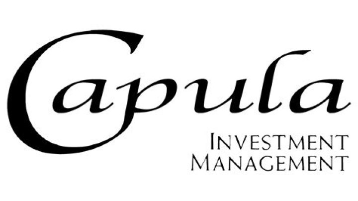 Capula Investment Management PDF: Expert Strategies for Smart Portfolio Growth