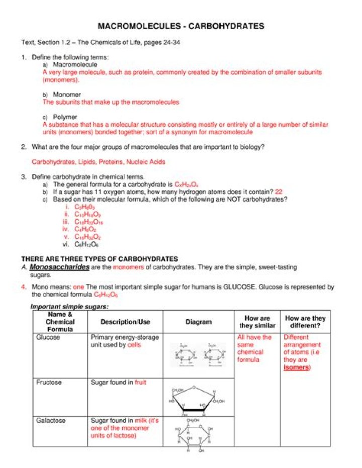 Free Carbohydrate Worksheet PDF – Track Your Daily Carbs Easily