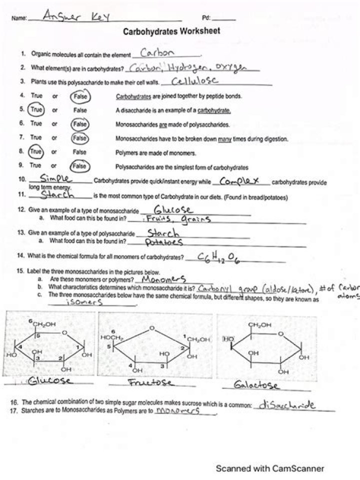 Carbohydrates Worksheet PDF Answers: Mastering Nutrition & Calculation