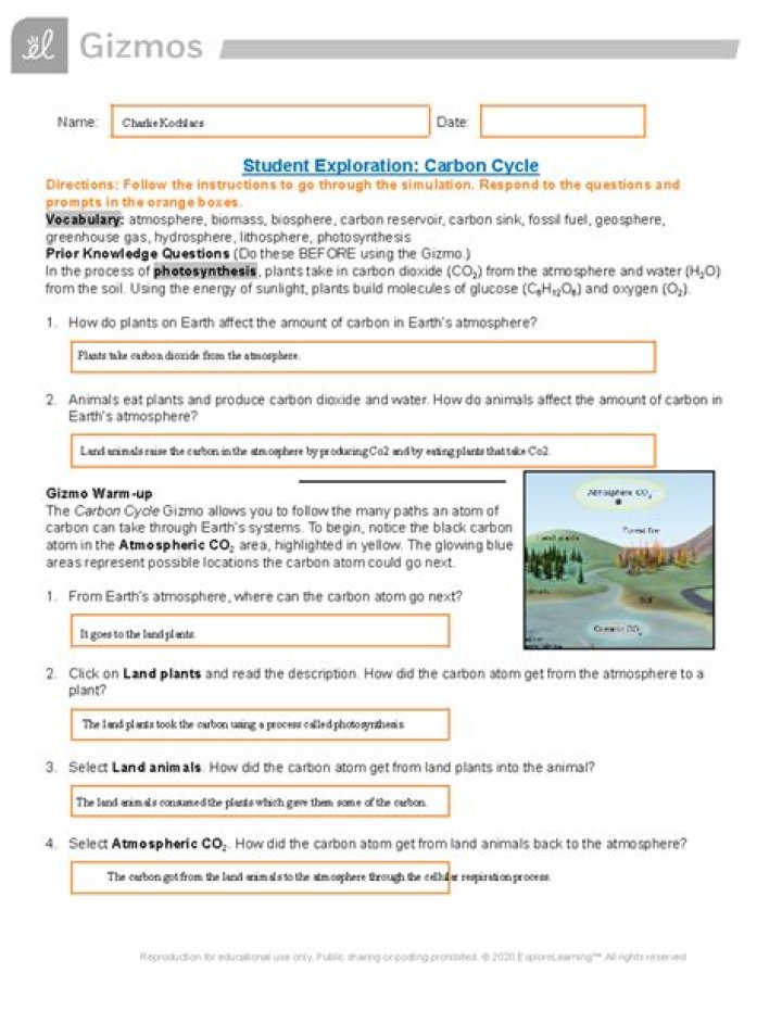 Carbon Cycle Gizmo Answers PDF: Complete Study Guide