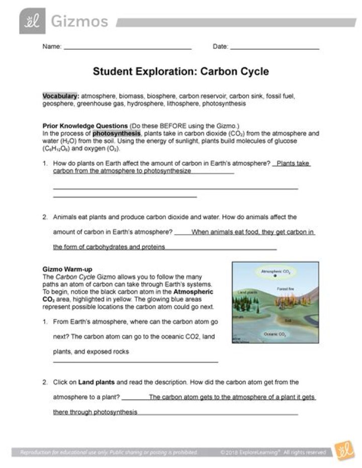 Carbon Cycle PDF Answers: Complete Guide to How Carbon Moves Through Ecosystems