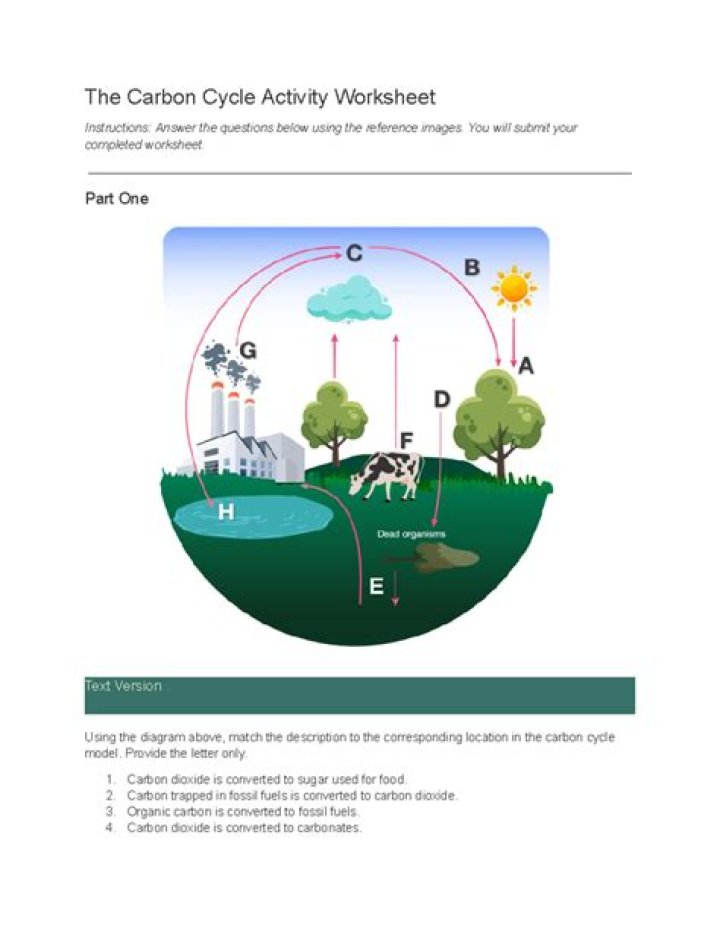 Carbon Cycle Questions & Answers PDF: Expert Insights and Answers