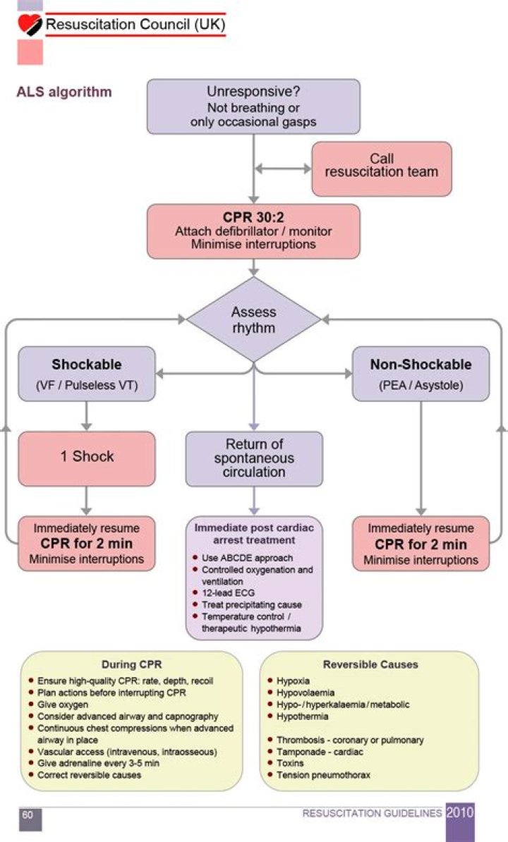 Essential Cardiac Arrest Management PDF: Save Lives Now