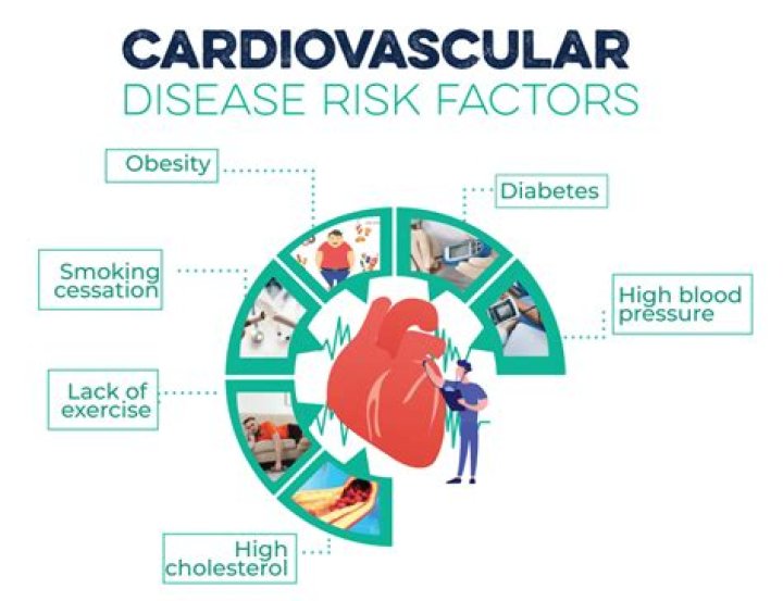 Cardiovascular Disease Risk Management: 2024 Standards of Care PDF Guide