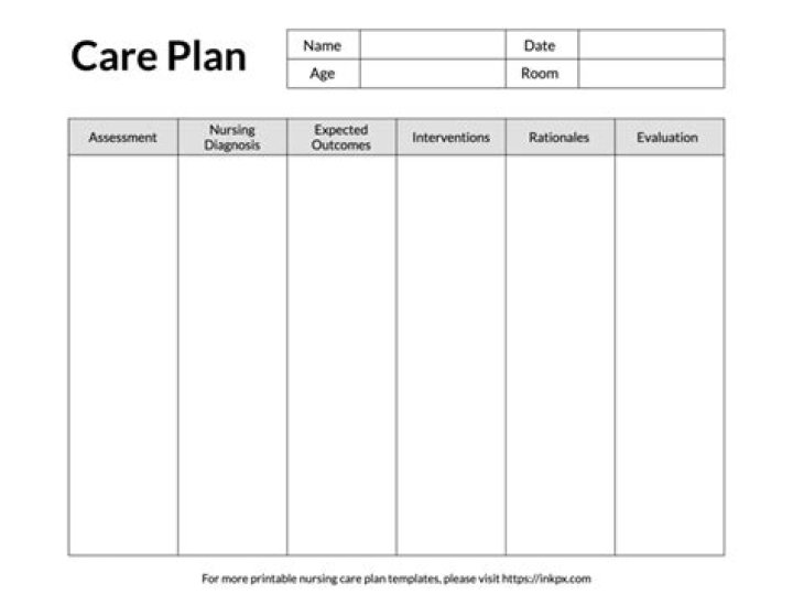 Download Free Care Plan Format PDF Template