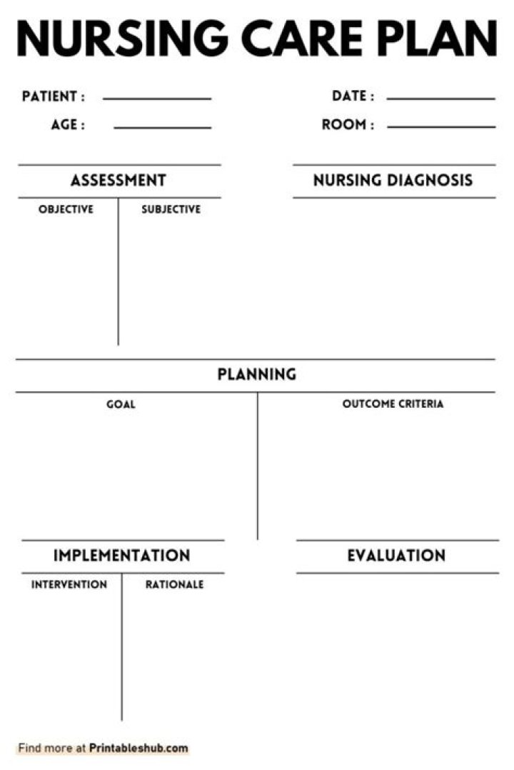Essential Nursing Care Plan PDF Guide for Clinical Practice