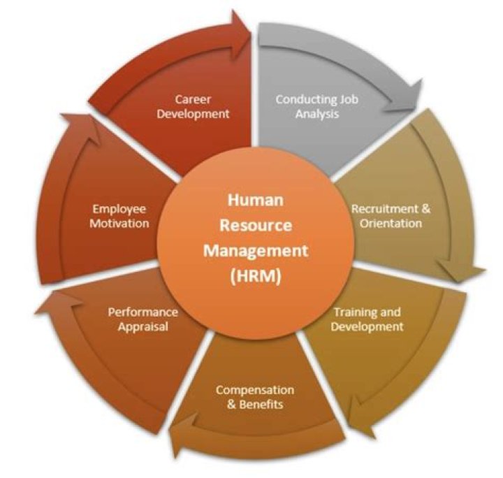 Career Development in Human Resource Management: Essential PDF Guide
