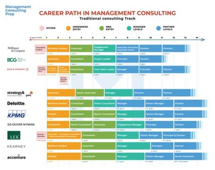 Career Paths in Management Consulting: Essential PDF Guide