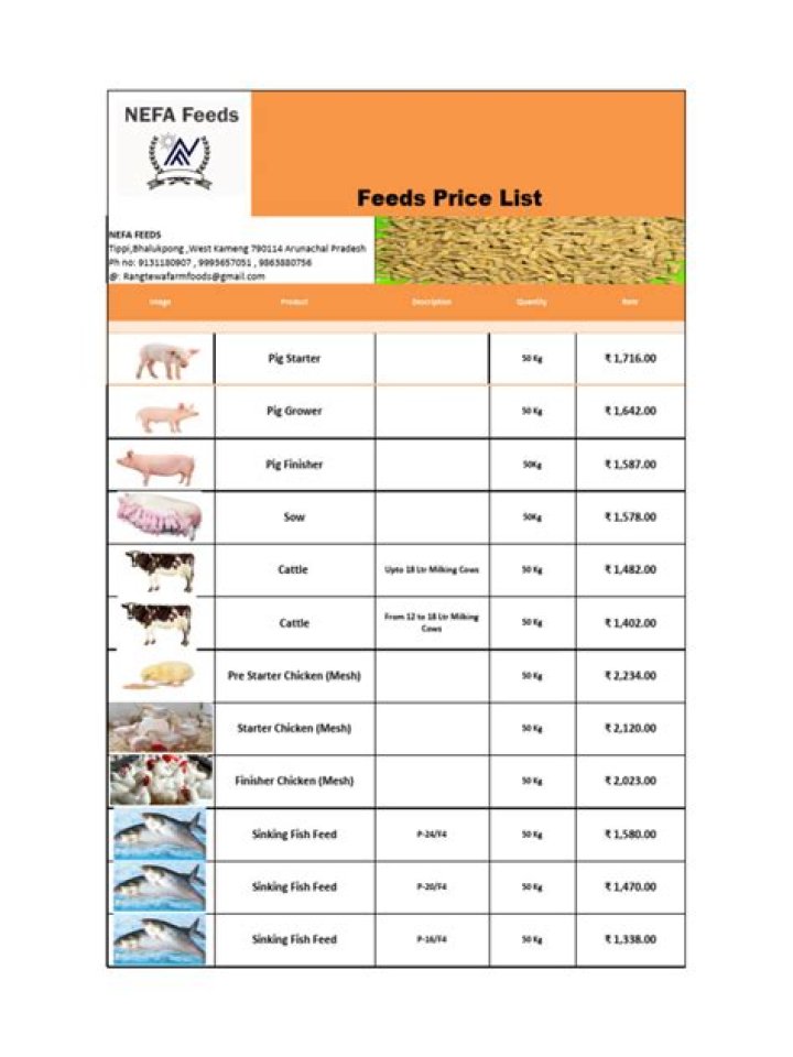Cargill Feed Price List PDF – Latest Pricing & Market Trends