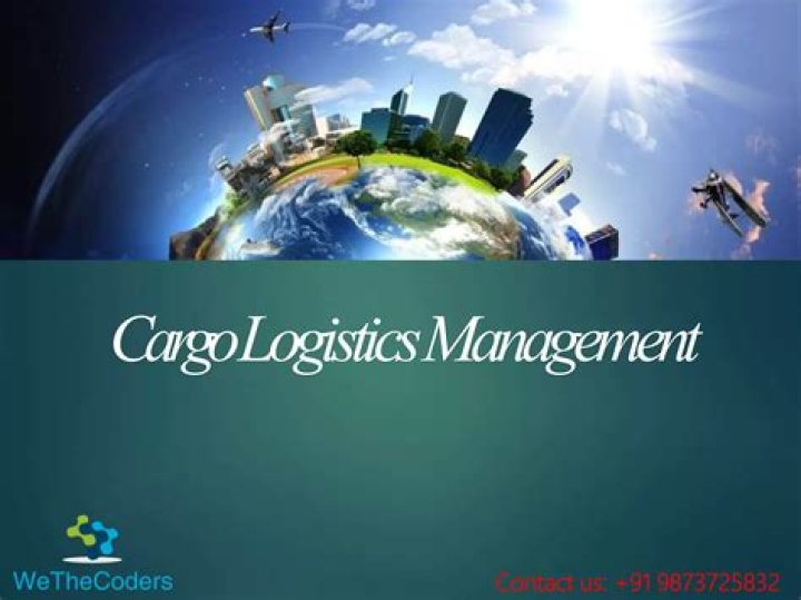 Efficient Cargo Logistics Management System PDF Guide