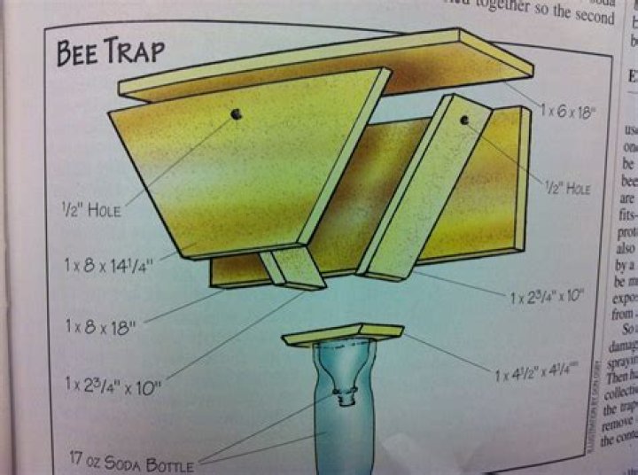 DIY Carpenter Bee Trap Plans PDF for Effective Pest Control