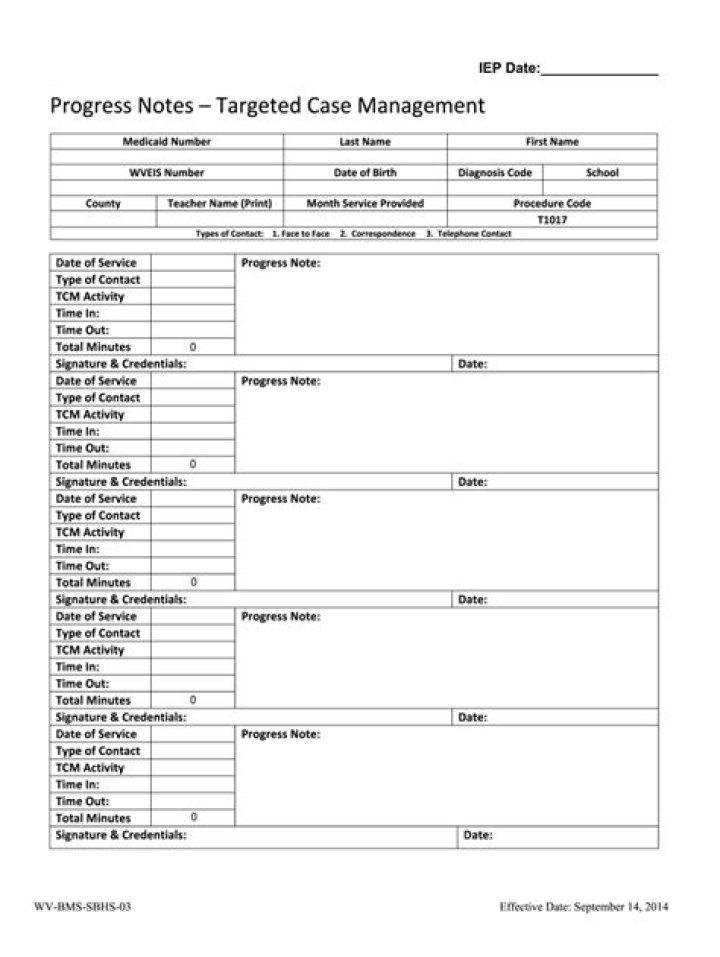 Essential Case Management Documentation Words PDF for Professionals