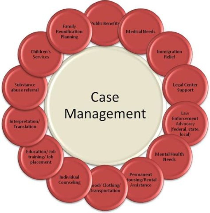 Case Management Manual PDF: Essential Guide for Professionals