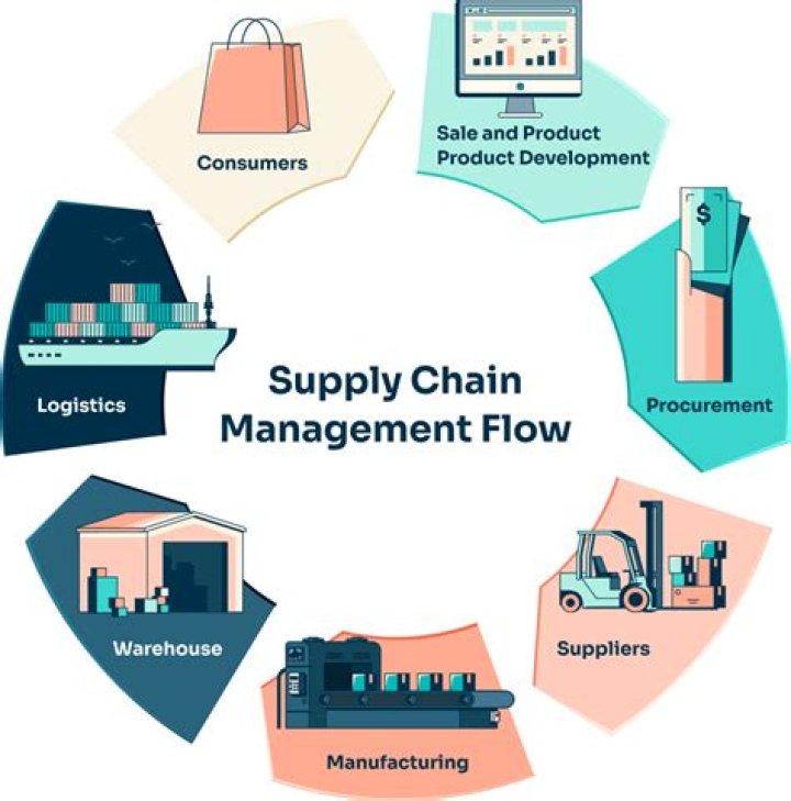 Comprehensive Case Study on Supply Chain Management PDF