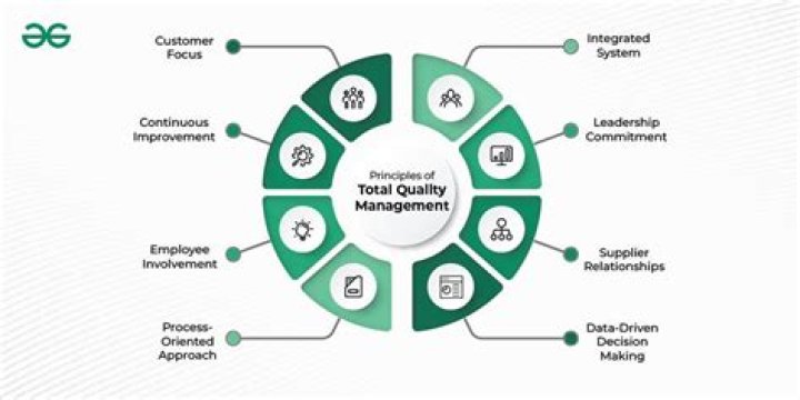 Case Study on Total Quality Management: Practical Insights & PDF Guide