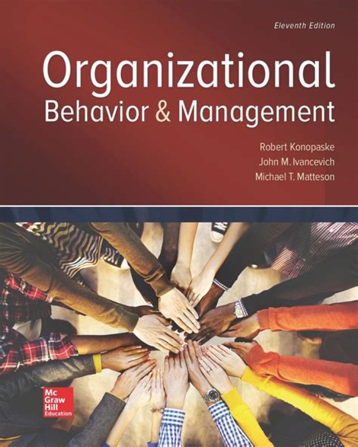In-Depth Cases in Management & Organizational Behavior Vol 2: PDF Download
