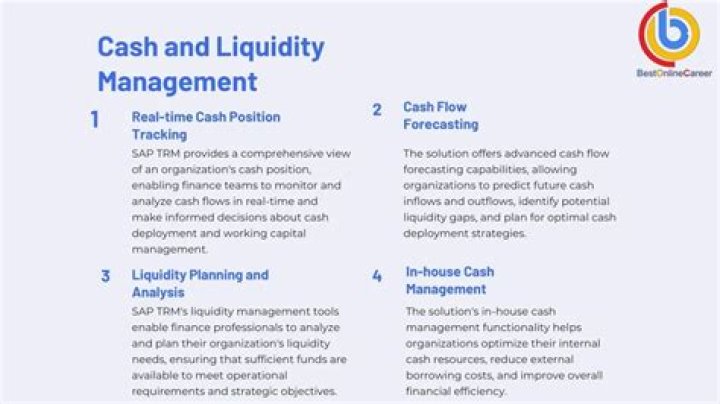 Master Cash & Liquidity Management with SAP: Essential PDF Guide
