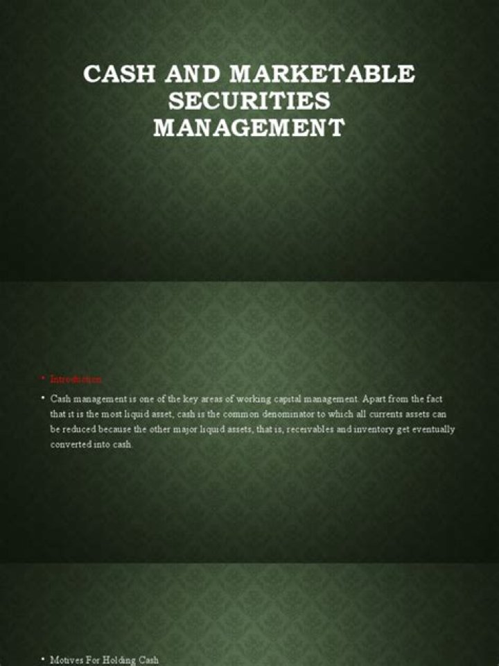 Master Cash & Marketable Securities Management with Expert PDF Guide