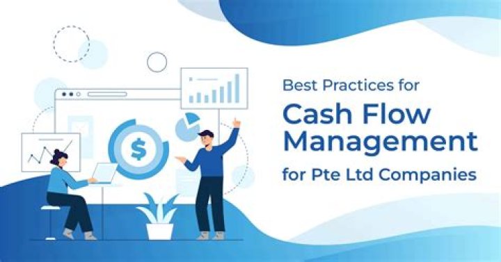 Master Cash Flow Management: Essential Practices in PDF Format