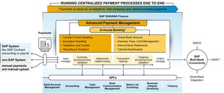 Master Cash Management in SAP FICO with PDF Guide
