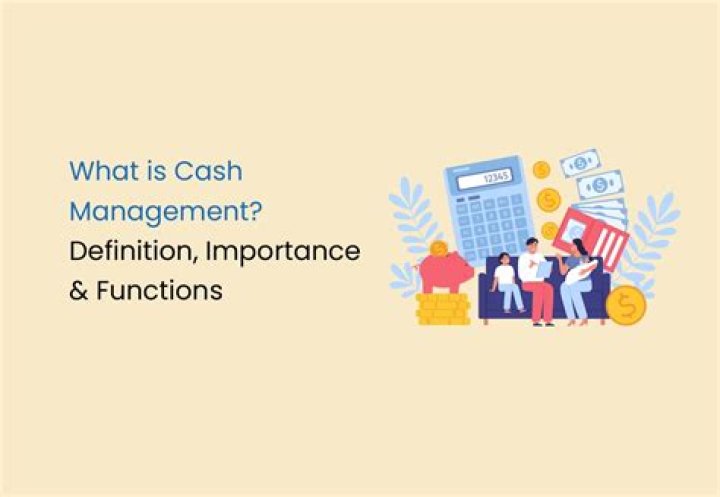 Master Cash Management Services: Expert PDF Guide for Businesses