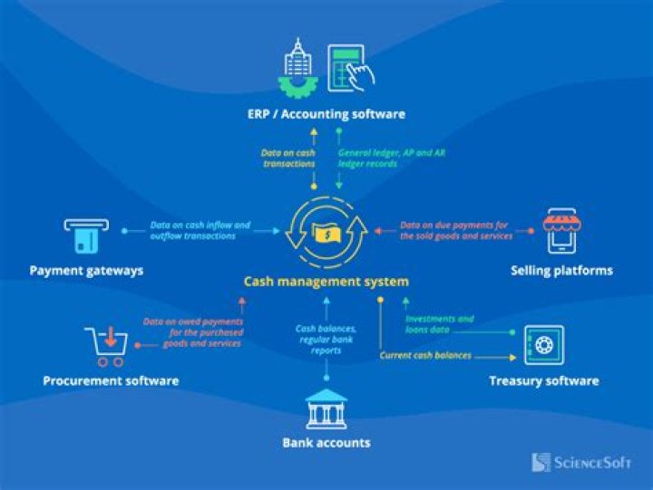 Cash Management System in Banks: Expert PDF Guide