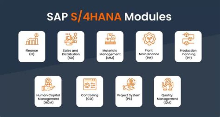 Master Cash Management in SAP S/4HANA with PDF Guides & Best Practices