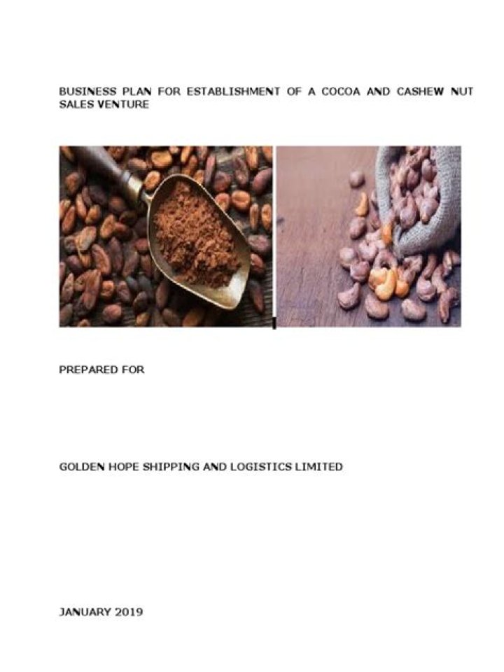 Cashew Nut Business Plan PDF – Full Template & Strategy